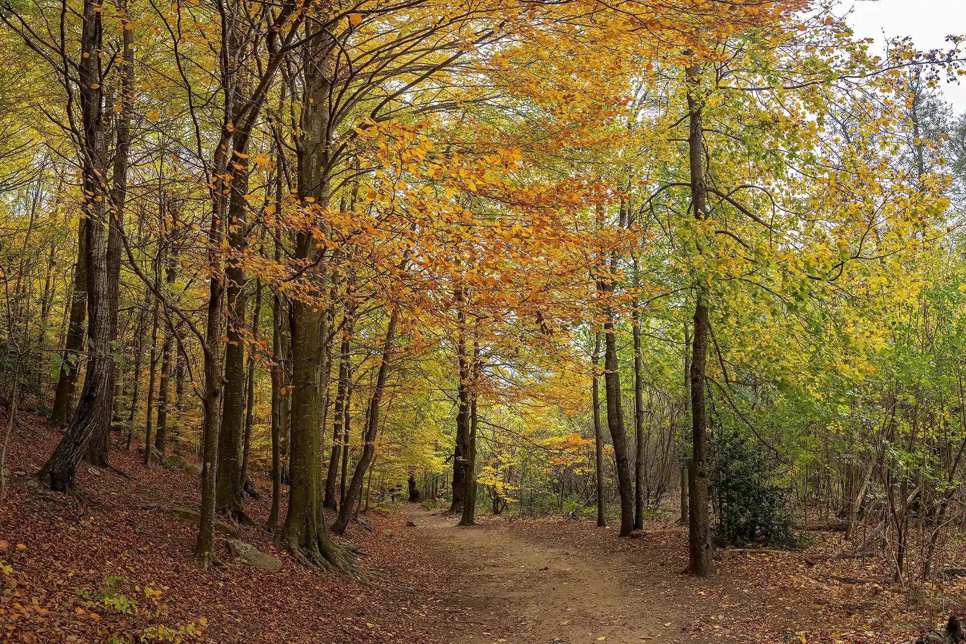 View of the Montseny Natural Park, Catalonia